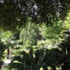 Gardasee-Giardino Botanico Hruska (4)